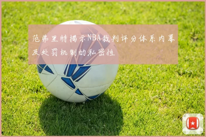 范弗里特揭示NBA裁判评分体系内幕及处罚机制的私密性